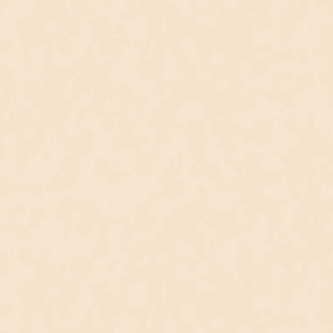 PAPEL TAPIZ SHADES OF COLOUR | AM25301