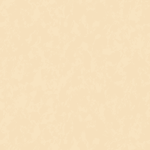 PAPEL TAPIZ SHADES OF COLOUR | AM25302