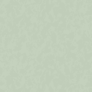 PAPEL TAPIZ SHADES OF COLOUR | AM25304