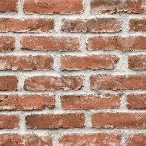 PAPEL TAPIZ PURE | B20910