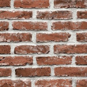 PAPEL TAPIZ PURE | B20920