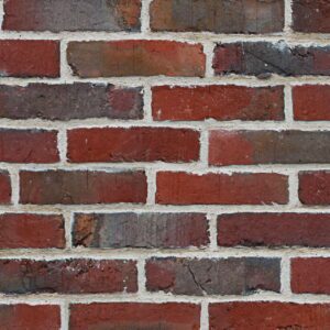 PAPEL TAPIZ PURE | JJ44908