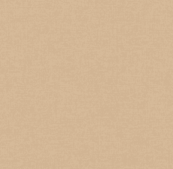 PAPEL TAPIZ SHADES OF COLOUR | RE25123