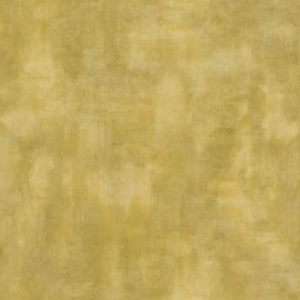 PAPEL TAPIZ SHADES OF COLOUR | TA25007