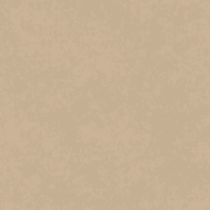 PAPEL TAPIZ SHADES OF COLOUR | TA25021