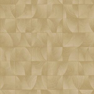 Papel Tapiz ARCHITEXTURE 2 Z57730