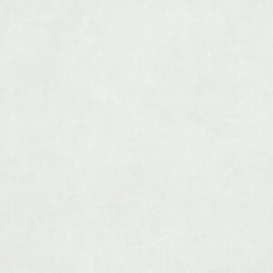 PAPEL TAPIZ FIESTA 34806