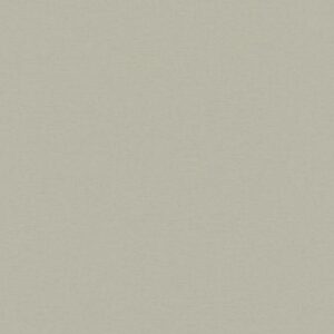 PAPEL TAPIZ FIESTA 34839