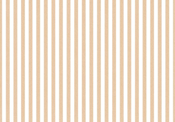 PAPEL TAPIZ TOP STRIPES RIGA 1 38438
