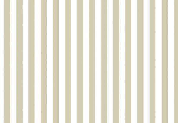 PAPEL TAPIZ TOP STRIPES RIGA 7 38453