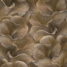 Papel Tapiz Whisper 10527 11